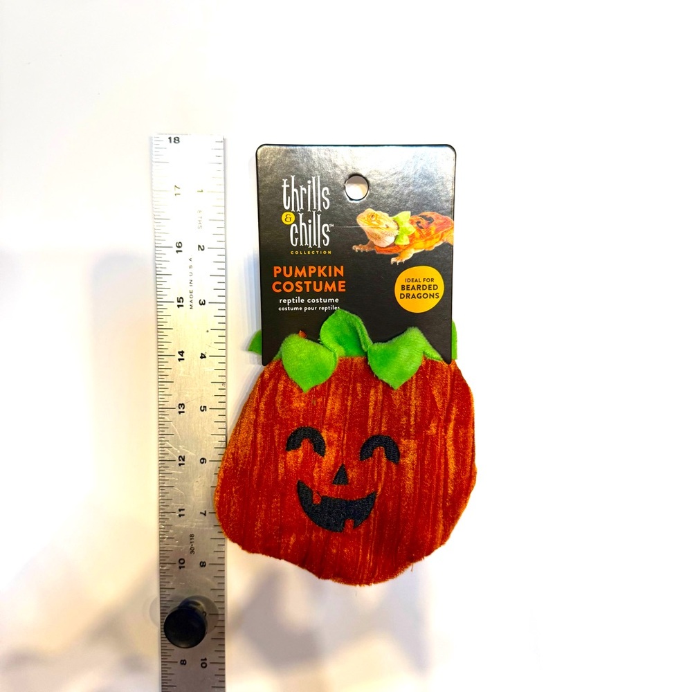 Thrills & Chills Bearded Dragon Pumpkin Jack-o-lantern Halloween costume - NWT